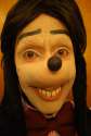 goofy.jpg
