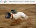 veryfastdogtrustingnobodyatincrediblehihgspeed.jpg