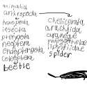deet 191.jpg
