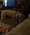 IMG_20160714_200630.jpg