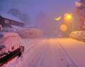 blizzard (5).jpg