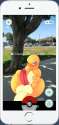 PokemonGO-CharmanderAtThePark.png