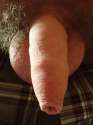 dong_5.jpg