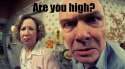 are you high.jpg