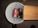 mouse-trap_7-fun-board-games-to-play.jpg