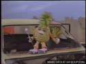 les-ananas-o.gif