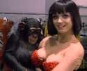 katyperry-gifs-monkey.gif