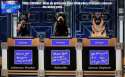 working dog jeopardy.jpg