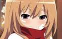toradora-41453-2560x1600.jpg