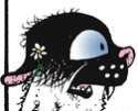 flower power.png