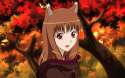 spice_and_wolf___horo_by_cassac.png