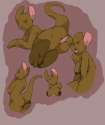 1410323 - Kanga Vodz Winnie_the_Pooh.jpg