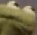 14491367.gif