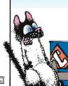 egyptian cat mummy.png