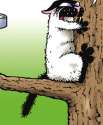 stuck in a tree.png