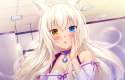 coconut___nekopara_sekai_by_plank_69-d9sx4kv.png