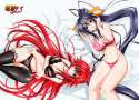 dxd.jpg