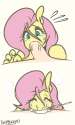 1898797 - Fluttershy Friendship_is_Magic IWillBuckYou My_Little_Pony.png