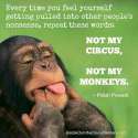 monkeys-3.jpg