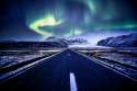 CATPLE_WALLPAPERS_9341.jpg
