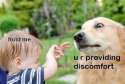 2Q.png