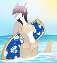 1468435288.jinxcuri_1439409774.justasliver_sharkie.jpg