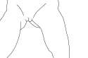 just some lines.jpg