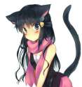 nekokari.jpg
