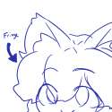 catstuff3.png
