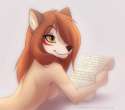 2343474700379.jpg