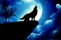 Dark-Wolf-HD-Widescreen-Wallpaper.jpg
