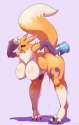 001_1456289813.schwoo_renacom_colored_vbl.png