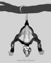 1327034964.rabbitfangs_naira_livestream_sketch_of_elizabeth_1-17-12_copy_u18chan.jpg