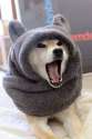 AAAAAAAAAAAAAAAAAAAAAAAAAAAAAAAAA.jpg