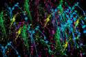 spatter-paint.jpg