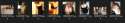 sharing.png