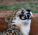Laughing0076.jpg