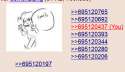 you wut.png