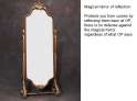immunity_magical-mirror-of-reflection.gif