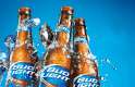 Beer_Bud-Light_2.jpg