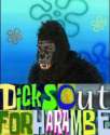 FB_IMG_1468745883206.jpg