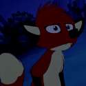 Adorablefox4.jpg