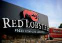 478109682_red-lobster-zoom-97cc428d-00b2-420a-a9df-6144b2140be7.jpg