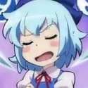 cirnoarmsfoldedv2.jpg