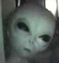 alienpic.png
