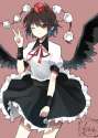 --inubashiri-momiji-and-shameimaru-aya-touhou-drawn-by-taiki-oz.jpg