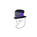 mrhat.png