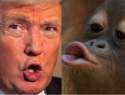 3209_54_news_hub_3430_640x488.jpg