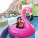 pink-flamingo-schwimmreifen-dbb.jpg