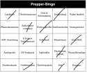 prepp.png